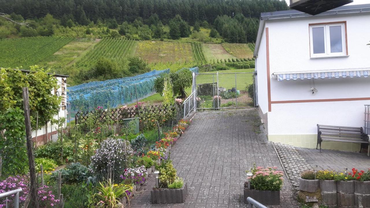 Zwei Ferienwohnungen "Im Weingarten " Burg  Buitenkant foto