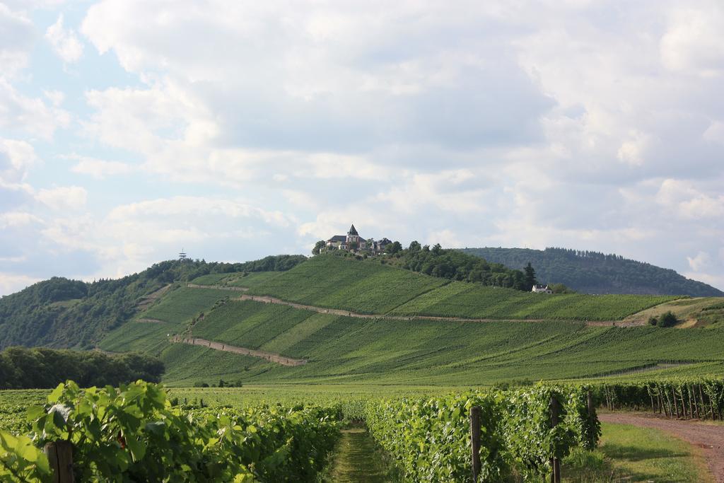 Zwei Ferienwohnungen "Im Weingarten " Burg  Kamer foto