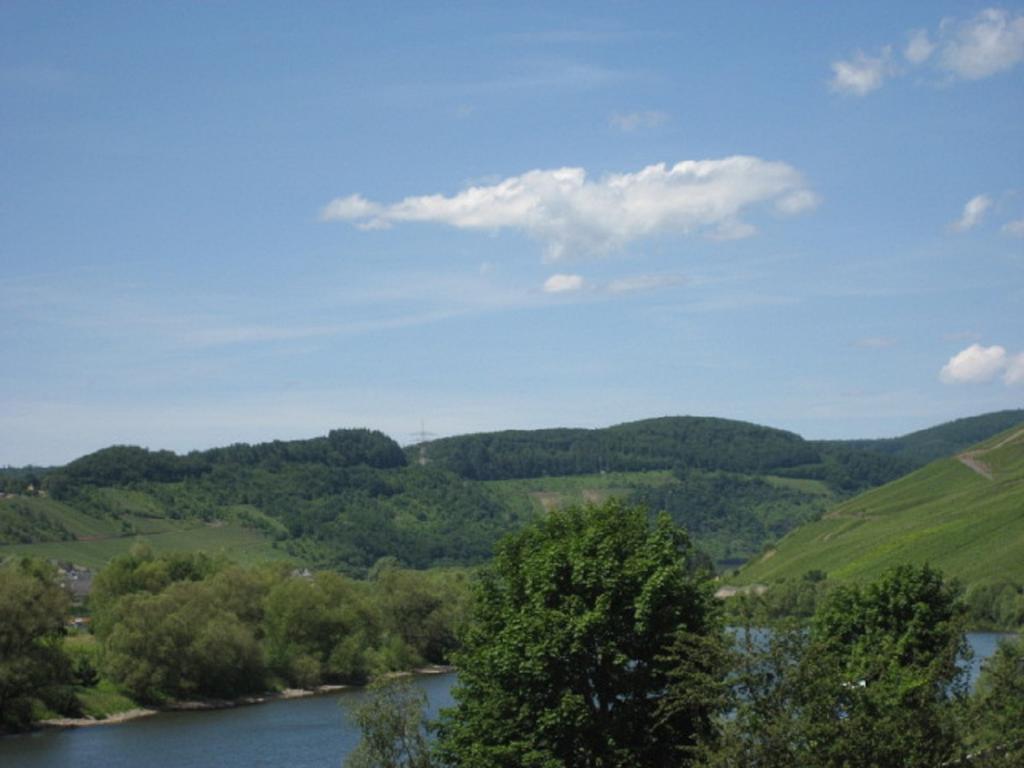 Zwei Ferienwohnungen "Im Weingarten " Burg  Buitenkant foto