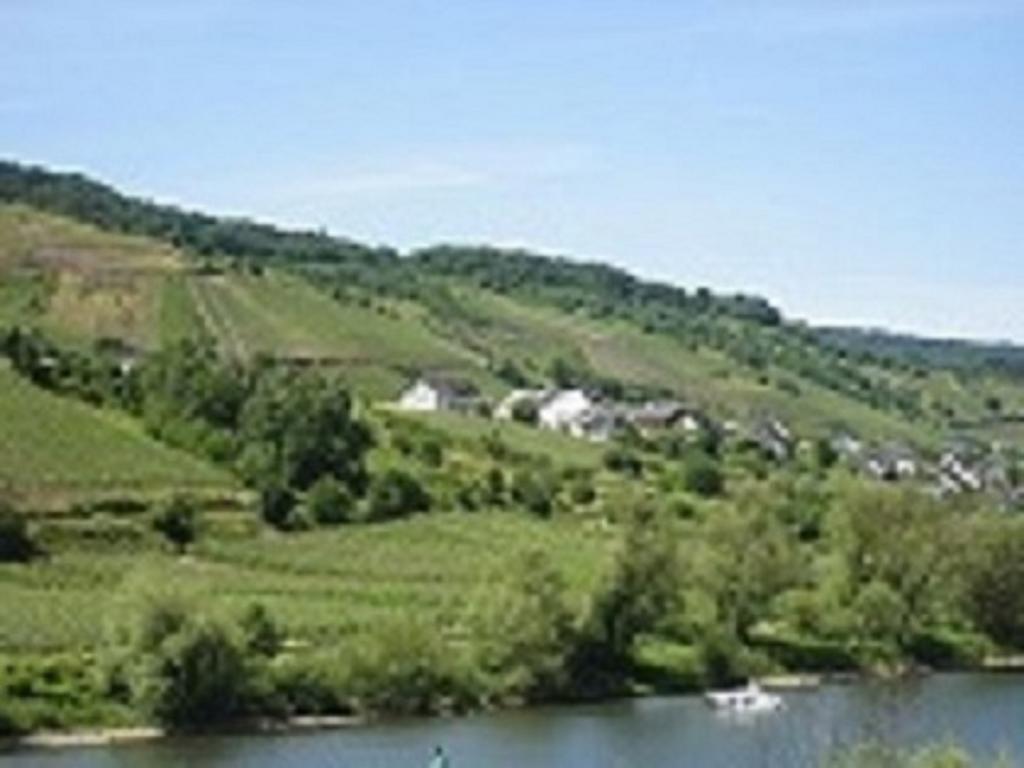 Zwei Ferienwohnungen "Im Weingarten " Burg  Buitenkant foto