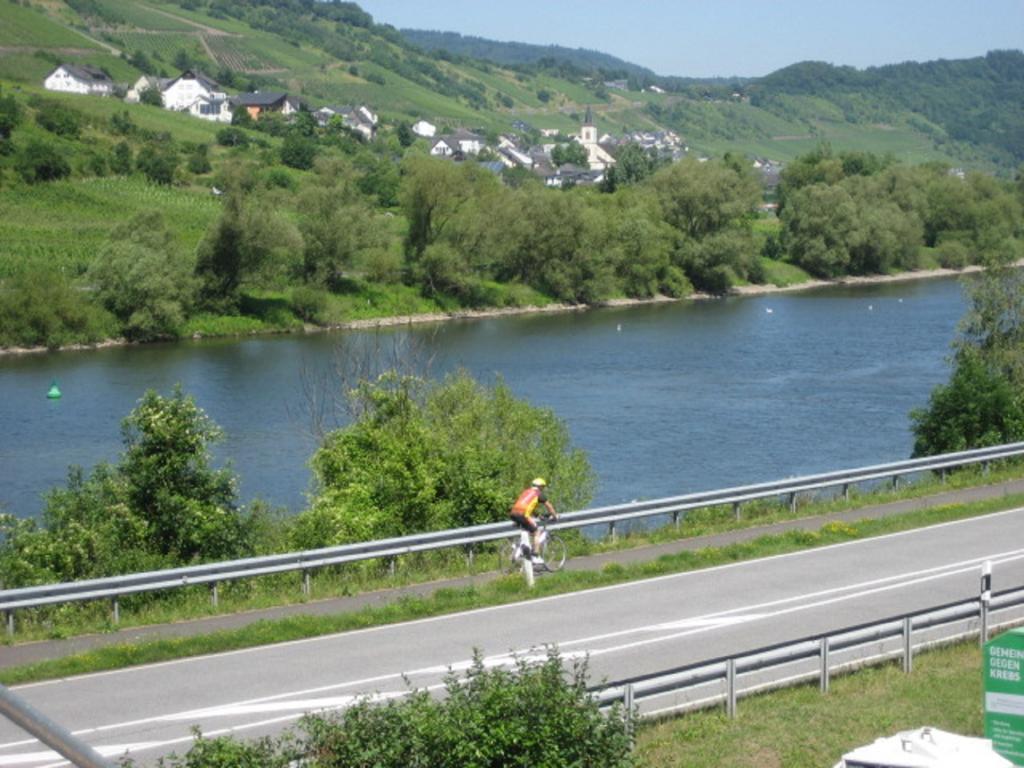 Zwei Ferienwohnungen "Im Weingarten " Burg  Buitenkant foto